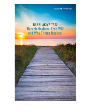 Free Will through the Derech Hashem cover image
