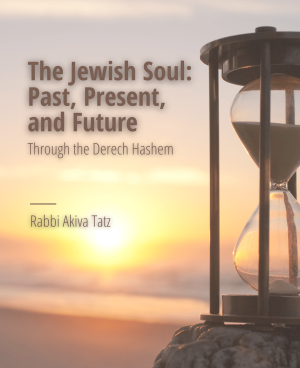 Jewish Soul through the Derech Hashem cover image