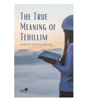 The Meaning of Tehillim