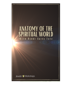 Anatomy of the Spiritual World with Rabbi Akiva Tatz cover image