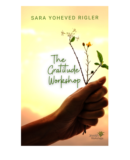 The Gratitude Workshop with Sara Yoheved Rigler cover image