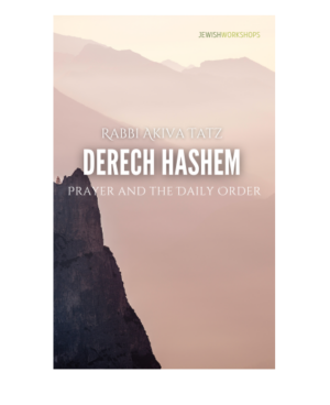 Prayer and The Daily Order Through the Derech Hashem
